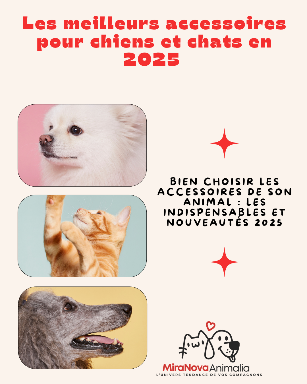 🐶🐱 Les meilleurs accessoires pour chiens et chats en 2025 – le guide complet Animalia by MiraNova FWI