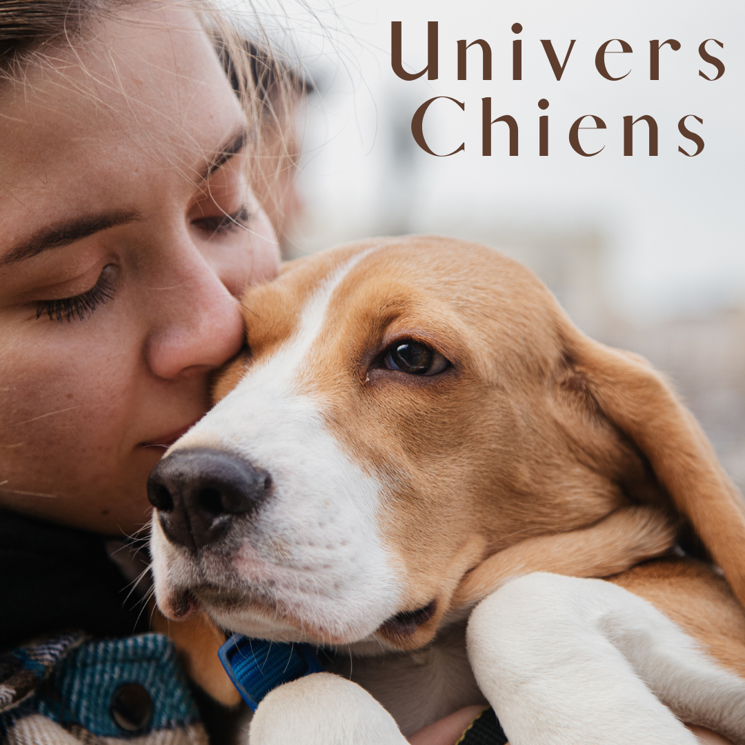 Univers Chiens