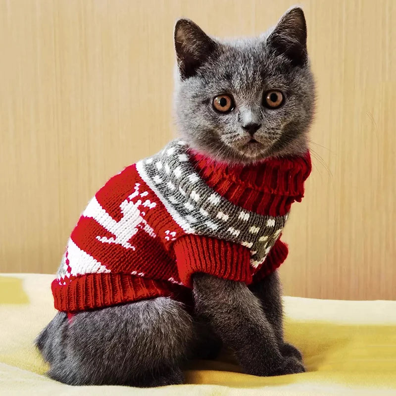 🧶 Pull d’Hiver pour Chat – Chandail Douillet et Chaud pour Chats & Sphynx