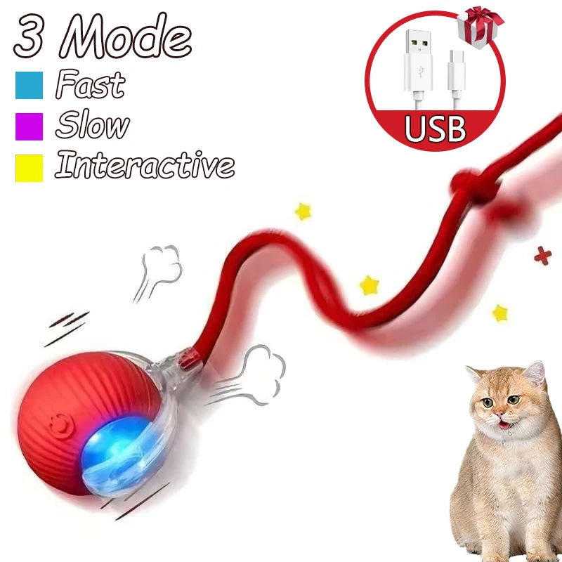 Balle Interactive Intelligente pour Chat – Rechargeable USB, Silencieuse & Résistante, Jouet Électronique Anti-Stress