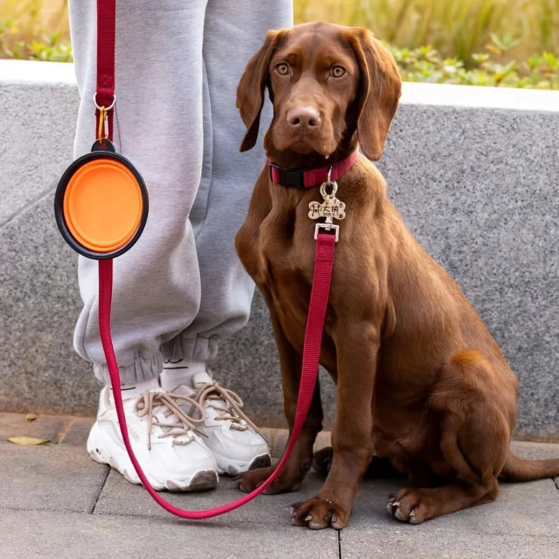 Gamelle Pliable en Silicone pour Chien & Chat – Bol Portable Antidérapant, Léger et Résistant pour Voyage & Extérieur