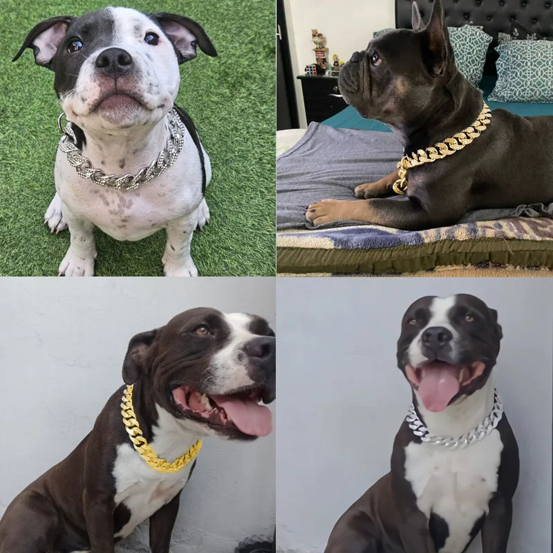 Collier Chaîne Luxe pour Chien  Doré ou avec Strass Brillants