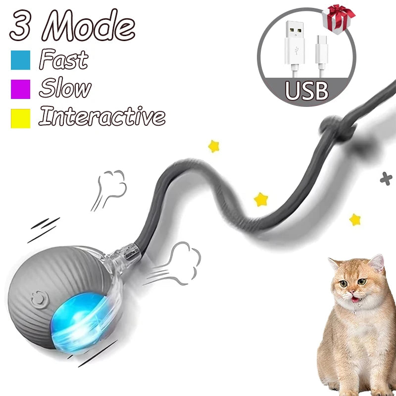 Balle Interactive Intelligente pour Chat – Rechargeable USB, Silencieuse & Résistante, Jouet Électronique Anti-Stress