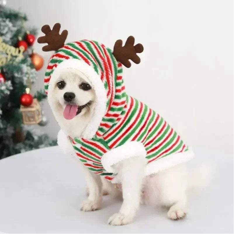 🎄 Manteau de Noël Chaud pour Chien – Veste Polaire Douce avec Capuche (Elan & Père Noël)