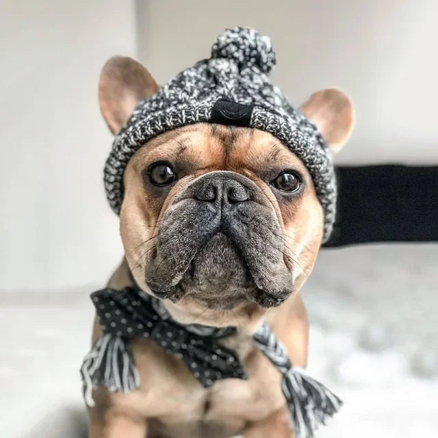 🐶 Bonnet d’Hiver pour Chien – Chaud, Doux et Coupe-Vent 🎄 | Accessoire de Noël pour Petits et Moyens Chiens