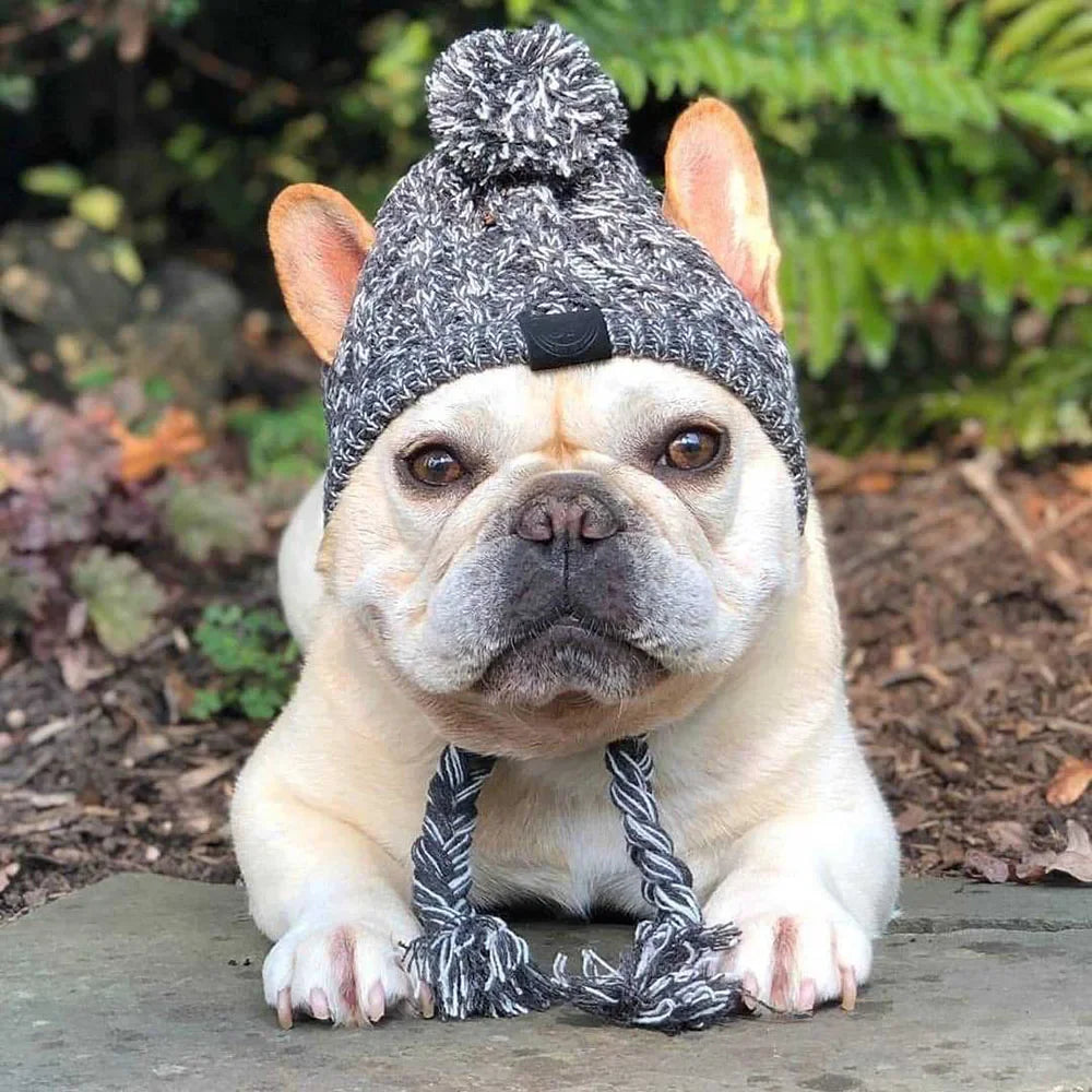 🐶 Bonnet d’Hiver pour Chien – Chaud, Doux et Coupe-Vent 🎄 | Accessoire de Noël pour Petits et Moyens Chiens