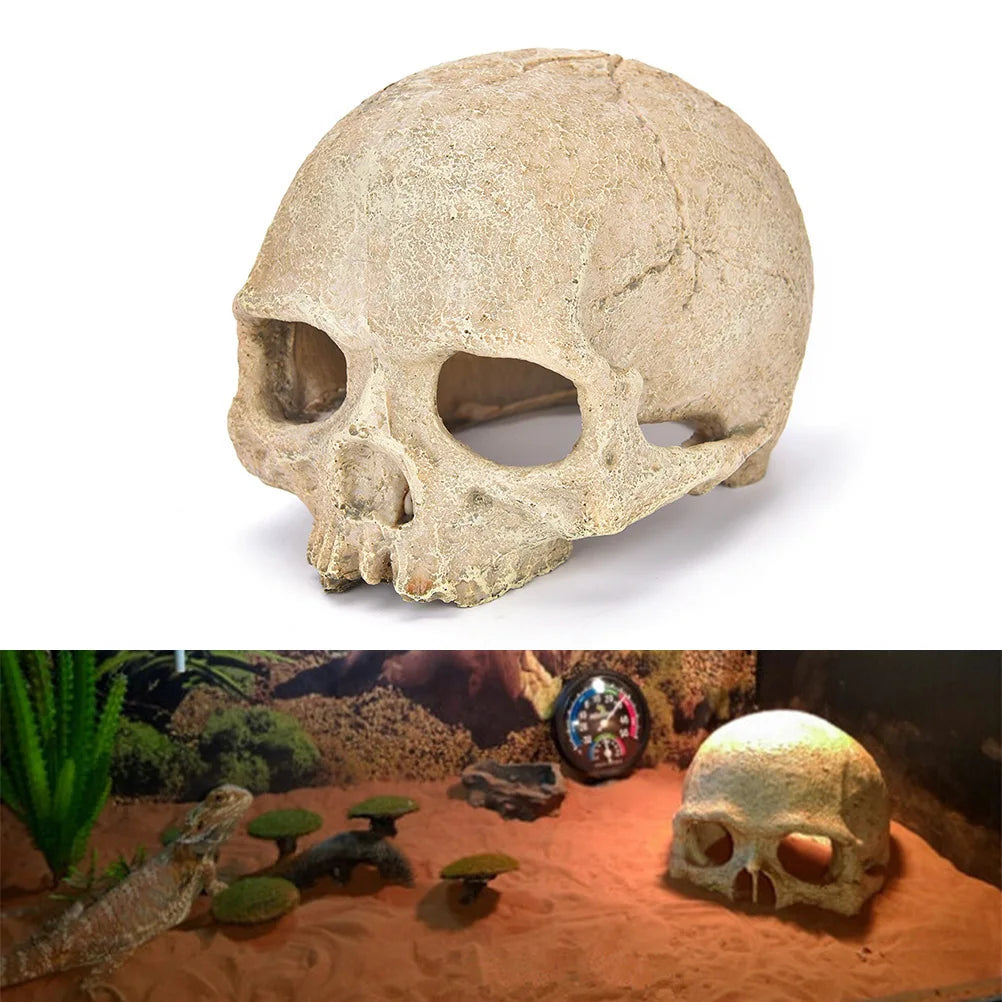 Décoration Aquarium – Crâne en Résine Réaliste, Abri & Cachette pour Poissons