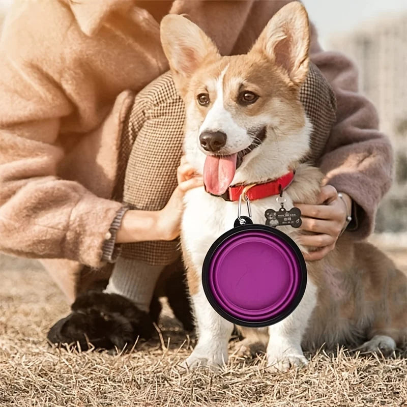 Gamelle Pliable en Silicone pour Chien & Chat – Bol Portable Antidérapant, Léger et Résistant pour Voyage & Extérieur