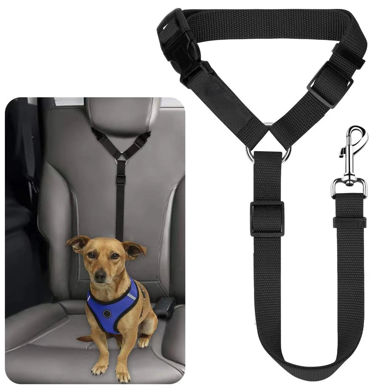 🚘 Ceinture de Sécurité Ajustable pour Chien – Harnais & Laisse 2-en-1