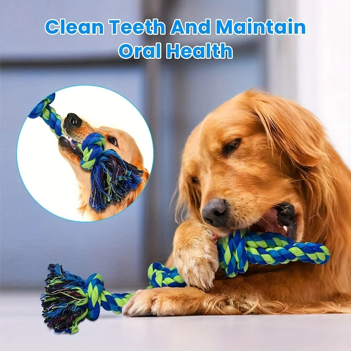💪 Corde de Jeu Résistante pour Chien – Tir à la Corde & Mâchonnement Anti-Destroy